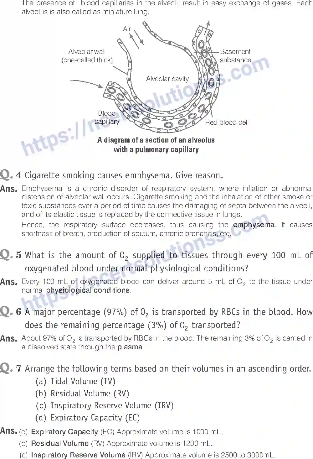 NCERT-Exemplar-Solution-Class-11-Biology-Breathing-And-Exchange-of-Gases-93-page-9