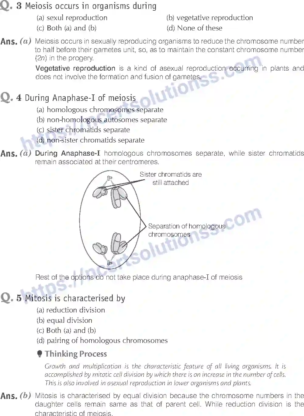 NCERT-Exemplar-Solution-Class-11-Biology-Cell-Cycle-and-Cell-Division-86-page-2