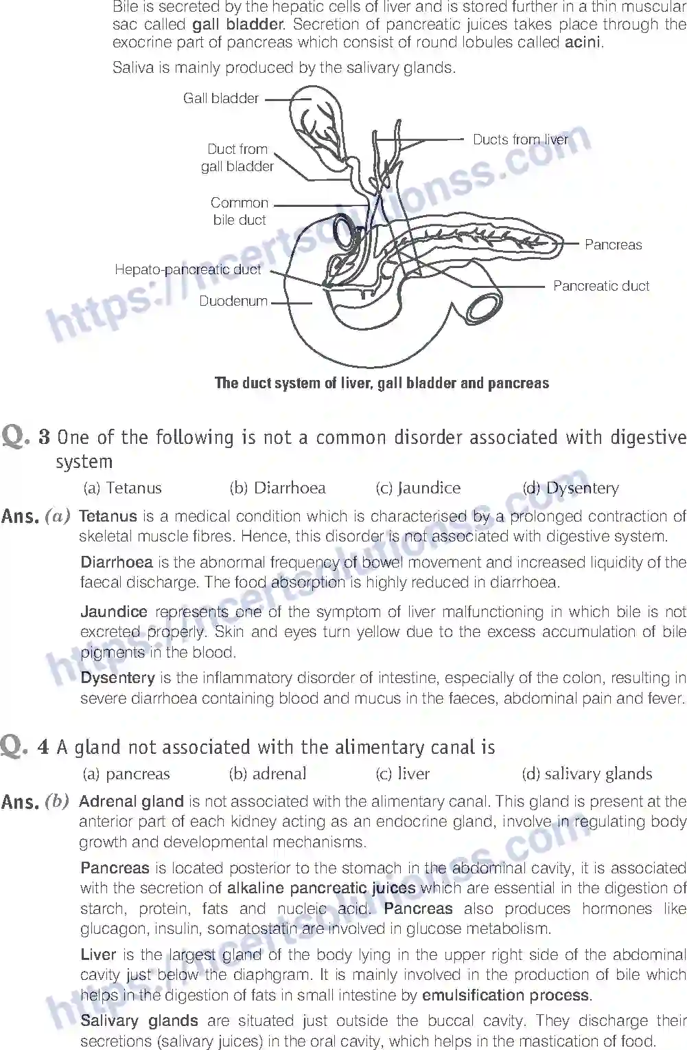 NCERT-Exemplar-Solution-Class-11-Biology-Digestion-and-Absorption-92-page-2
