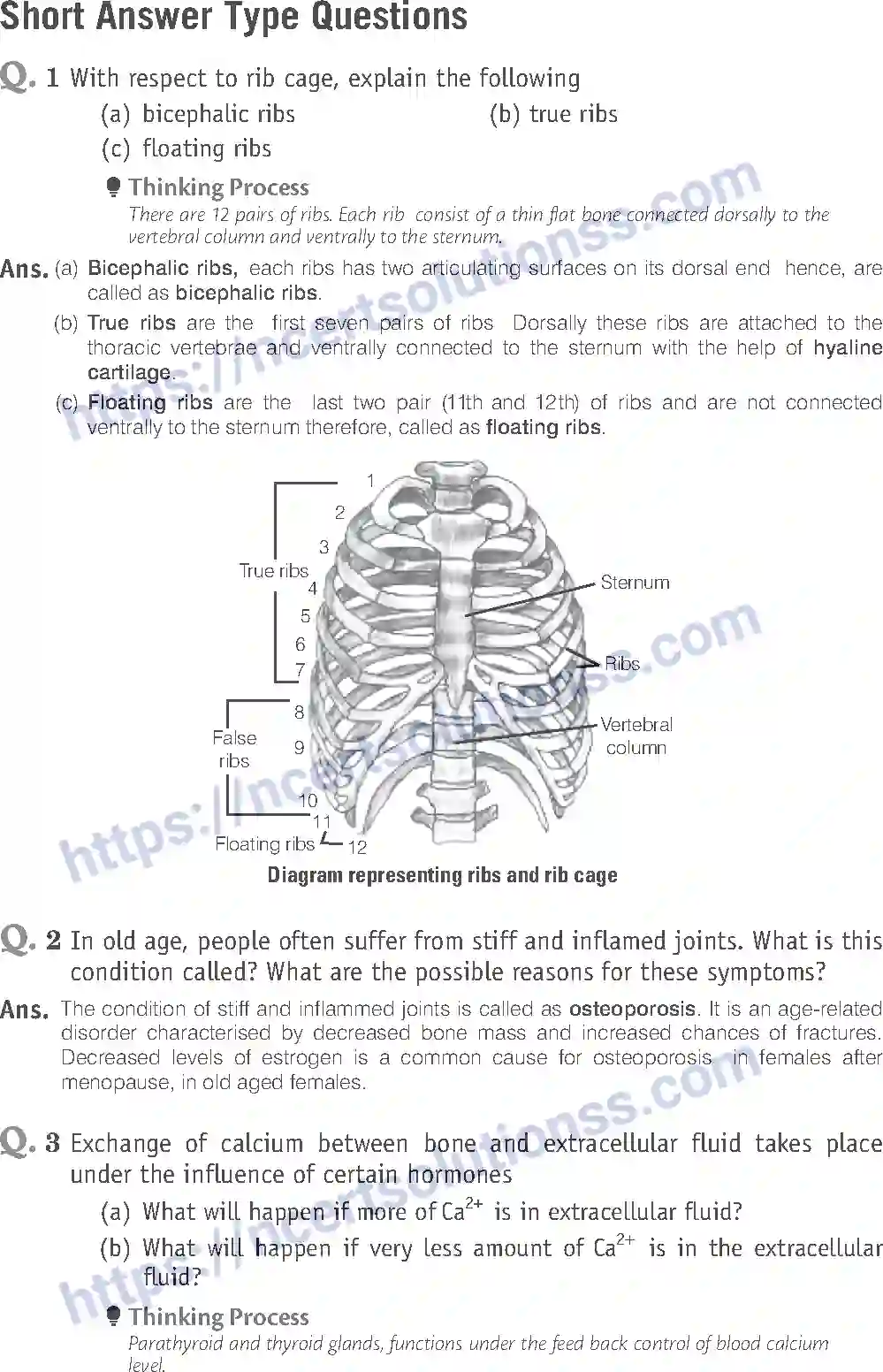NCERT-Exemplar-Solution-Class-11-Biology-Locomotion-And-Movement-96-page-11