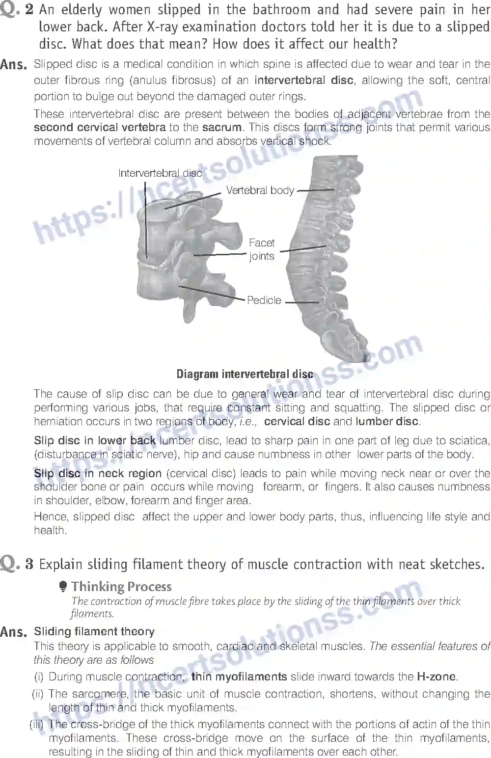 NCERT-Exemplar-Solution-Class-11-Biology-Locomotion-And-Movement-96-page-14