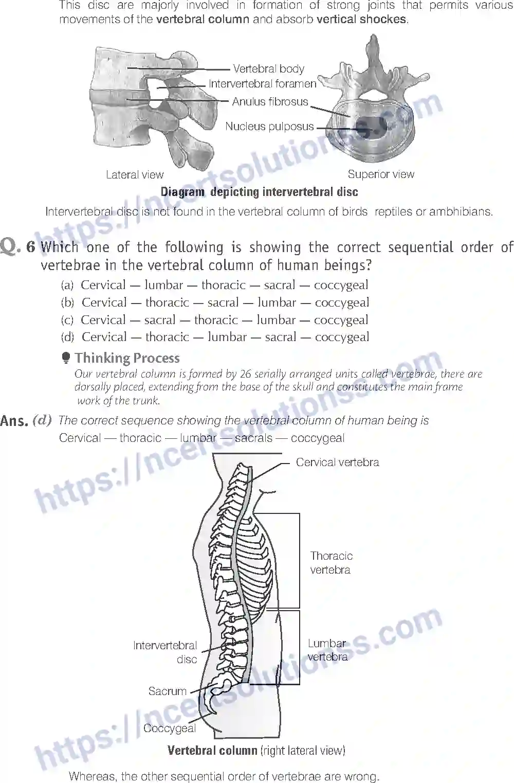 NCERT-Exemplar-Solution-Class-11-Biology-Locomotion-And-Movement-96-page-4