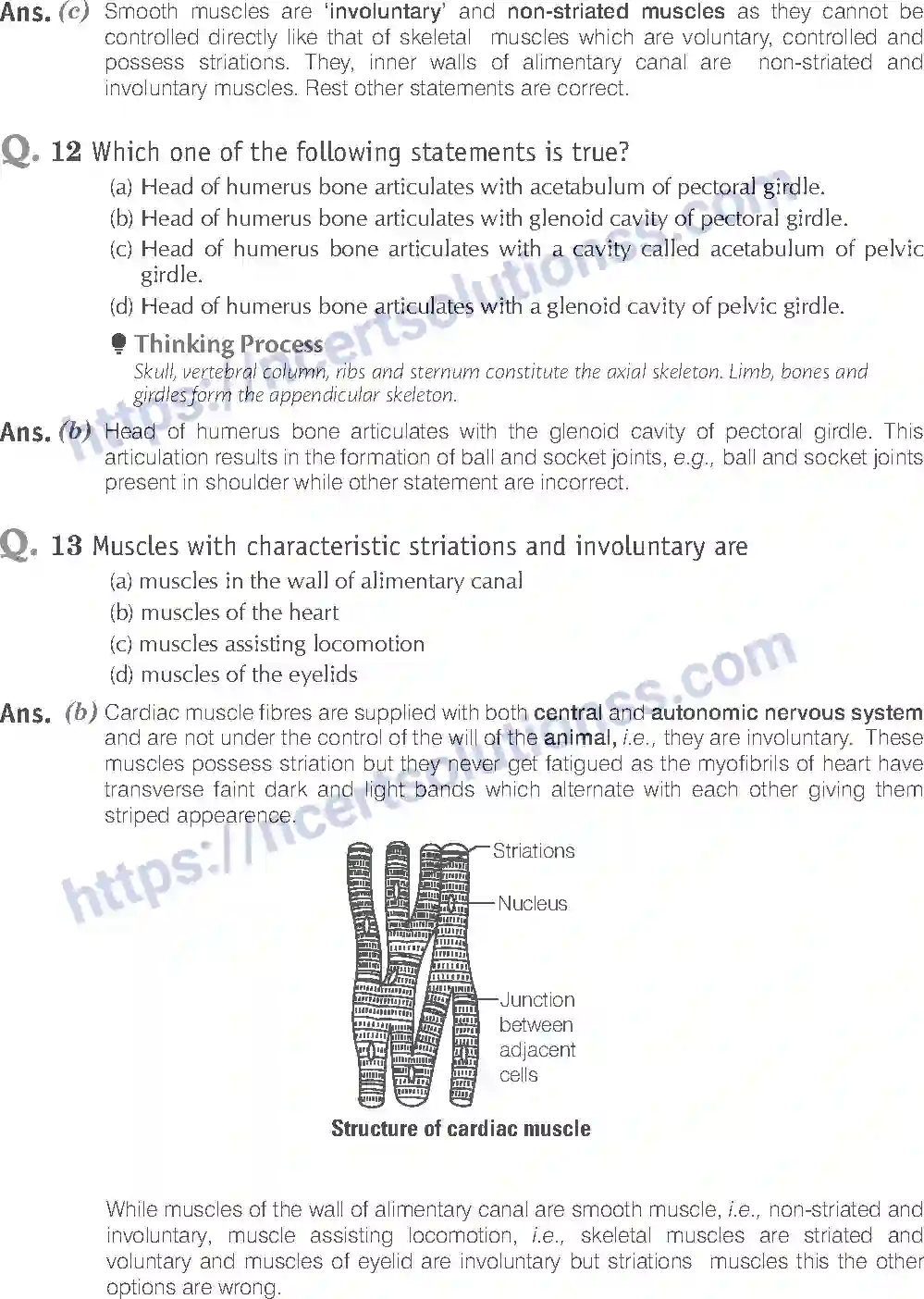NCERT-Exemplar-Solution-Class-11-Biology-Locomotion-And-Movement-96-page-6