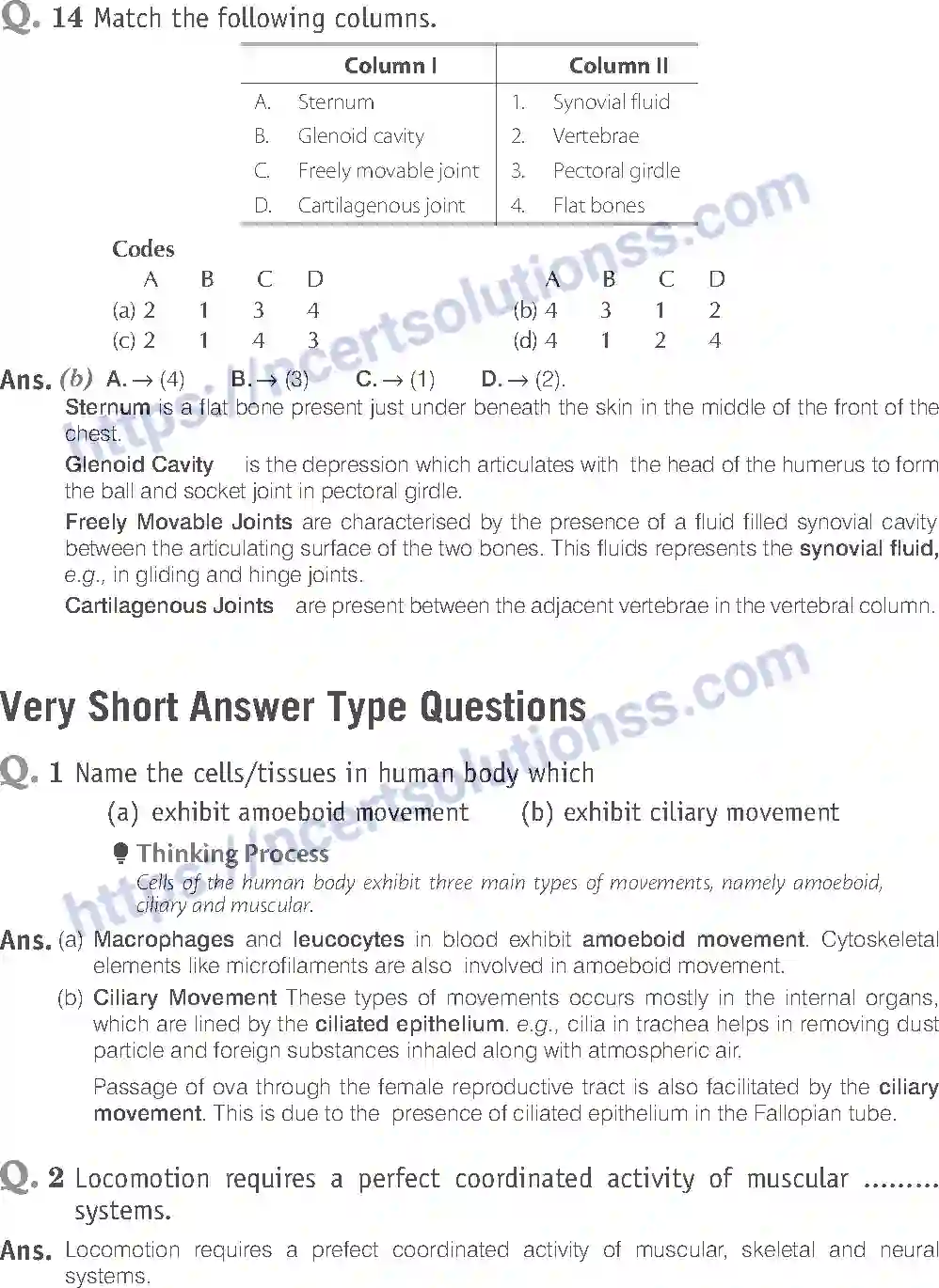 NCERT-Exemplar-Solution-Class-11-Biology-Locomotion-And-Movement-96-page-7
