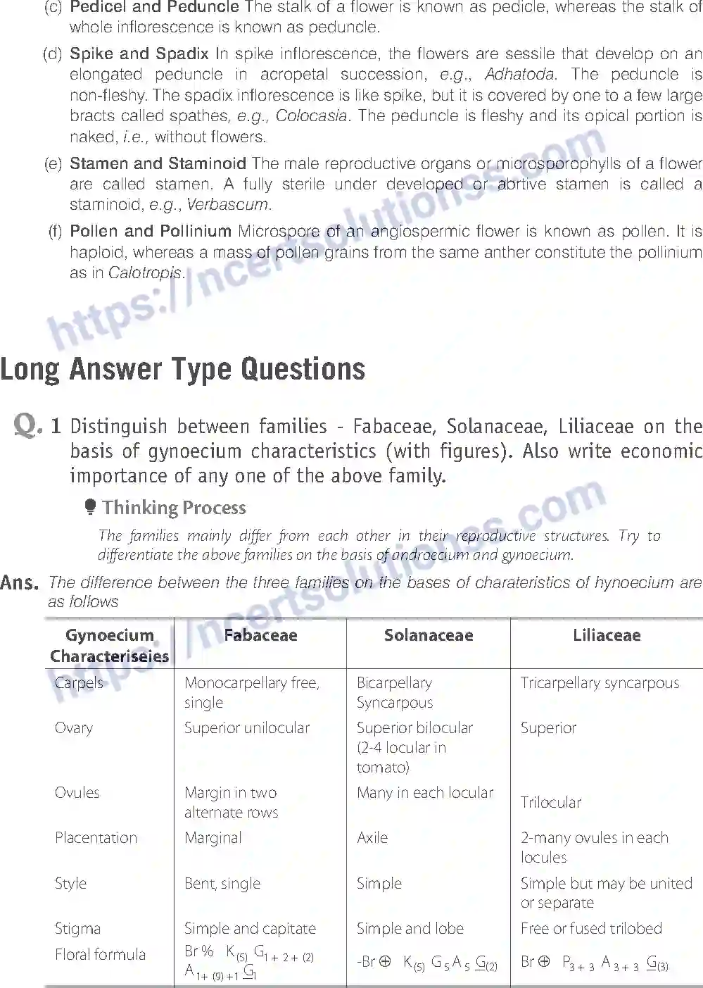 NCERT-Exemplar-Solution-Class-11-Biology-Morphology-of-Flowering-Plants-81-page-14