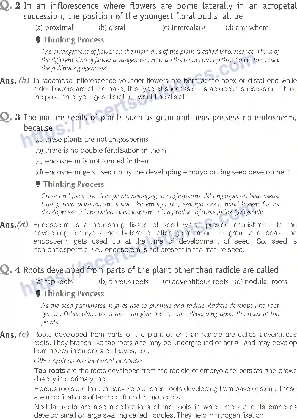 NCERT-Exemplar-Solution-Class-11-Biology-Morphology-of-Flowering-Plants-81-page-2