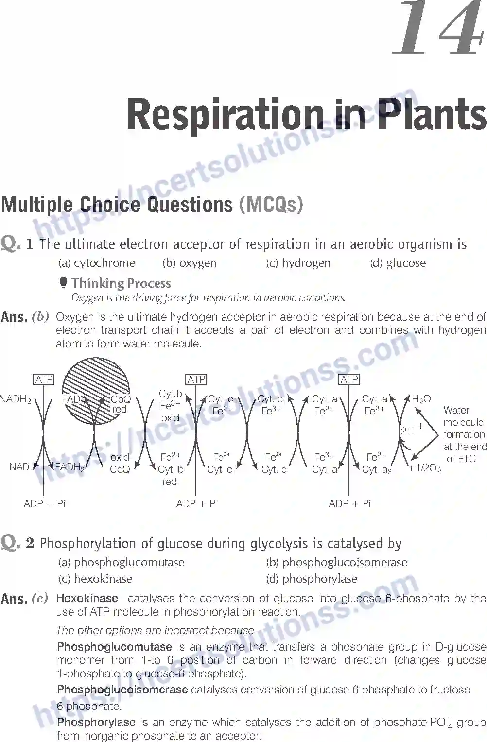 NCERT-Exemplar-Solution-Class-11-Biology-Respiration-In-Plants-90-page-1