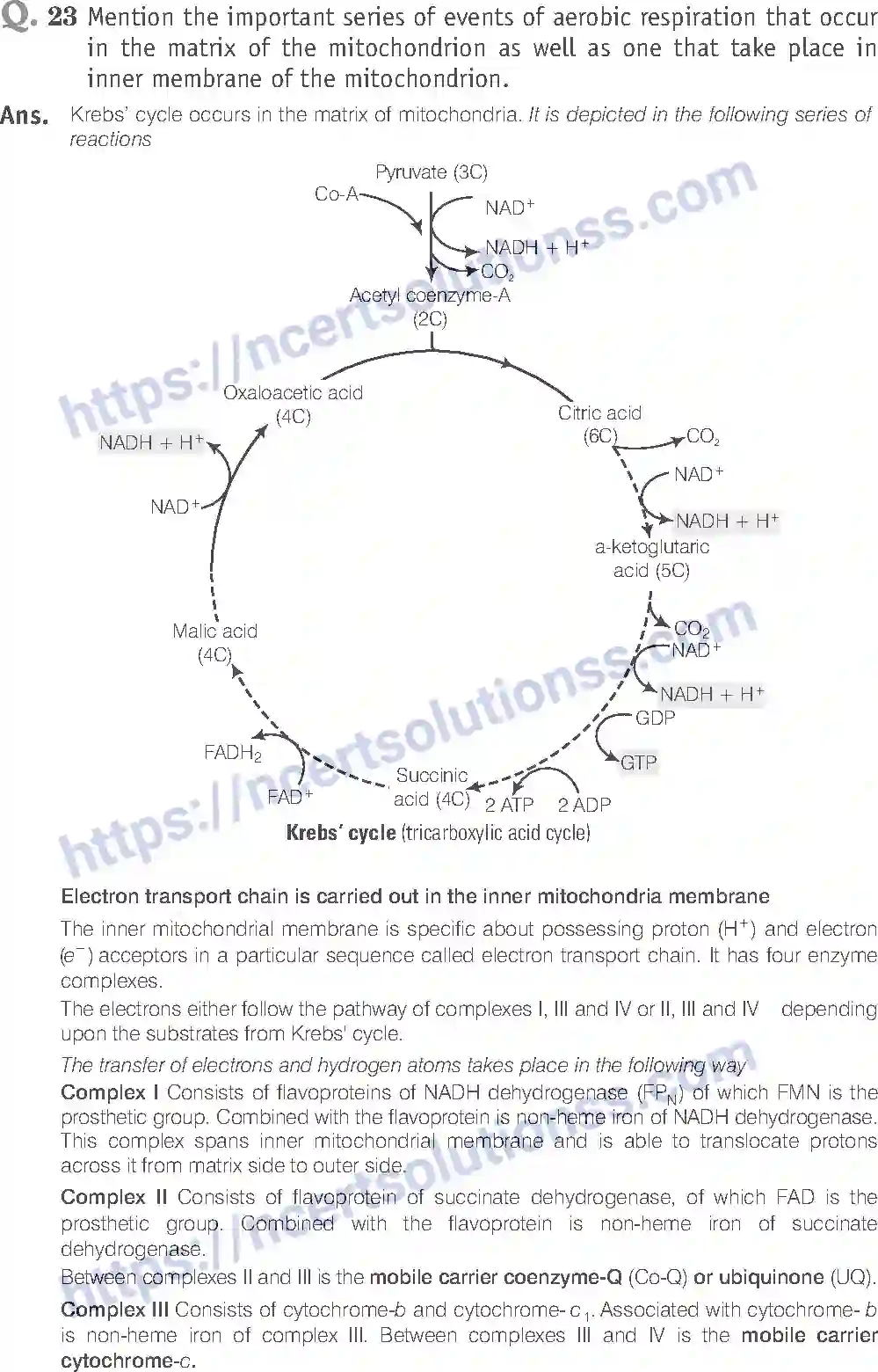 NCERT-Exemplar-Solution-Class-11-Biology-Respiration-In-Plants-90-page-16