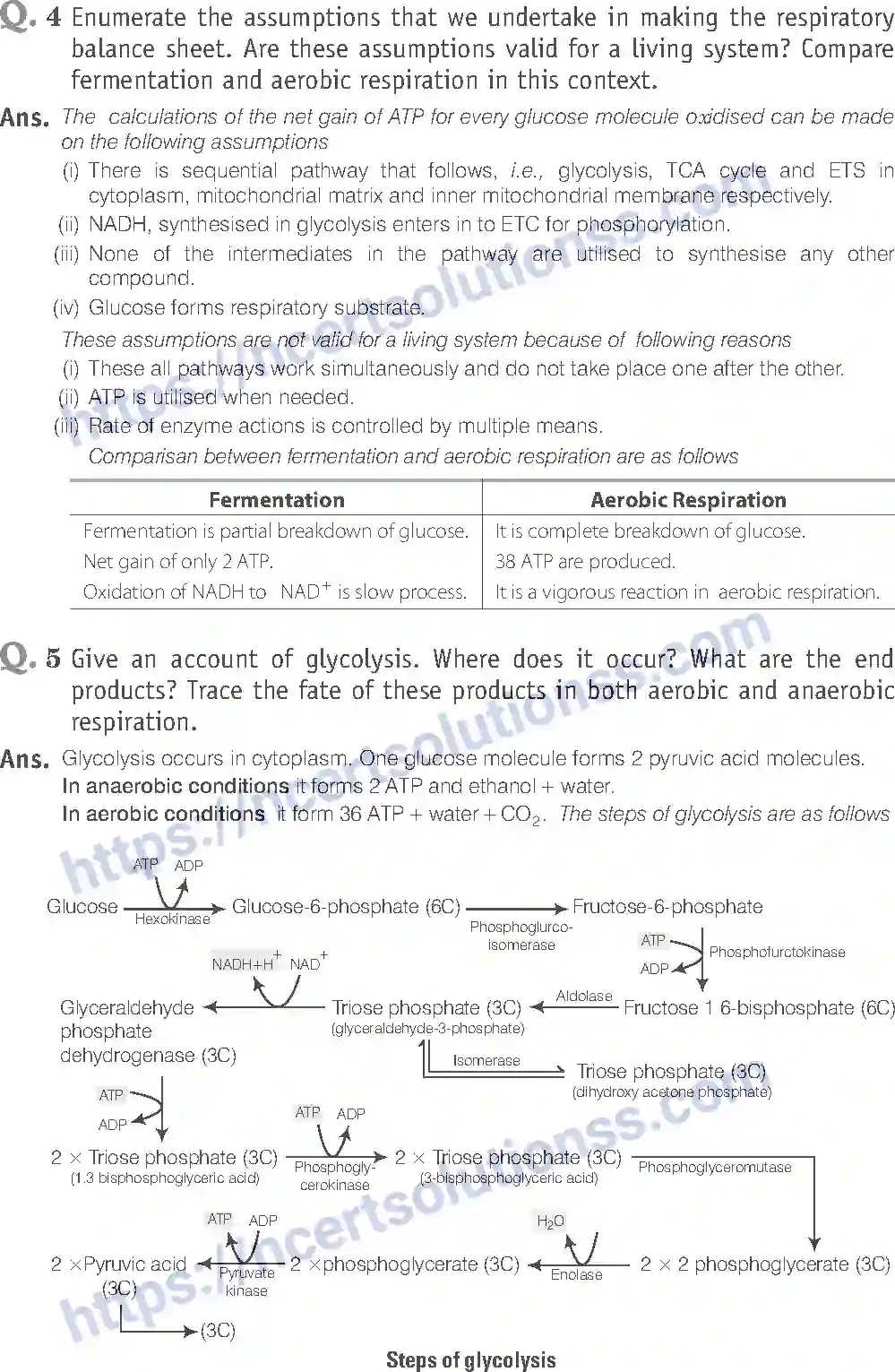 NCERT-Exemplar-Solution-Class-11-Biology-Respiration-In-Plants-90-page-20