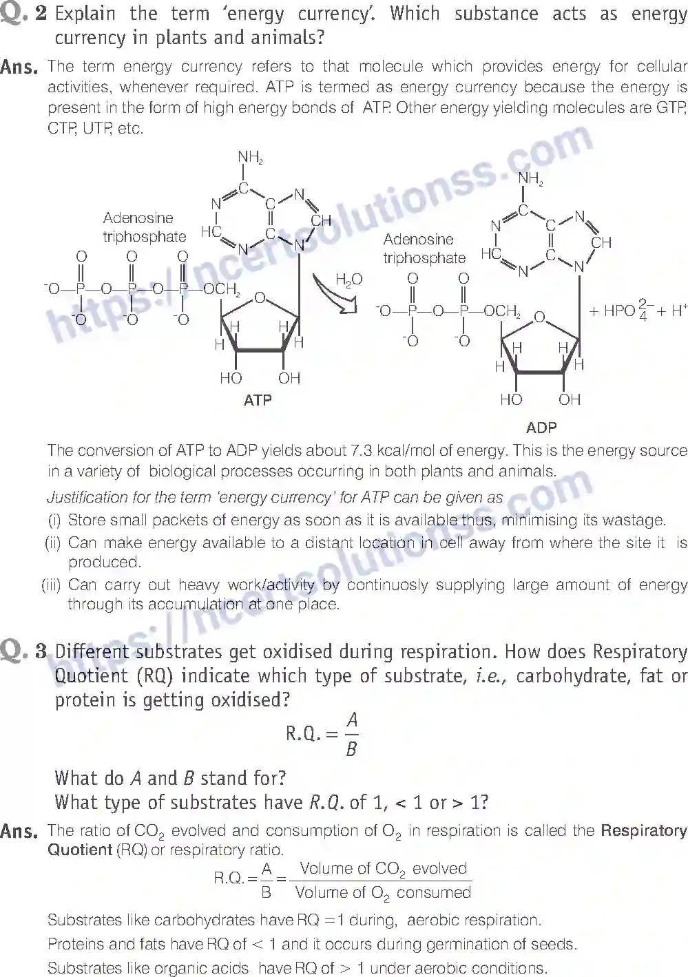 NCERT-Exemplar-Solution-Class-11-Biology-Respiration-In-Plants-90-page-4