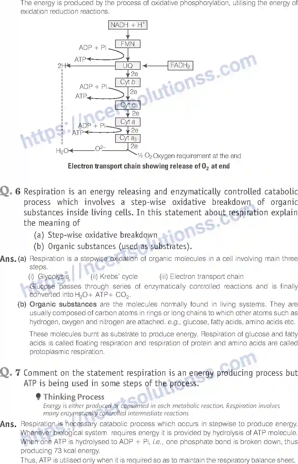 NCERT-Exemplar-Solution-Class-11-Biology-Respiration-In-Plants-90-page-8