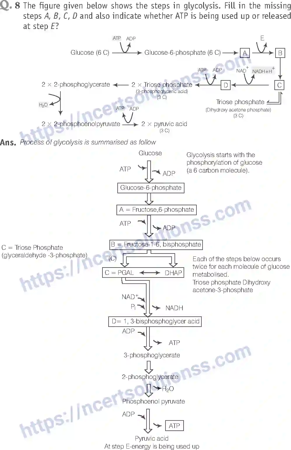 NCERT-Exemplar-Solution-Class-11-Biology-Respiration-In-Plants-90-page-9
