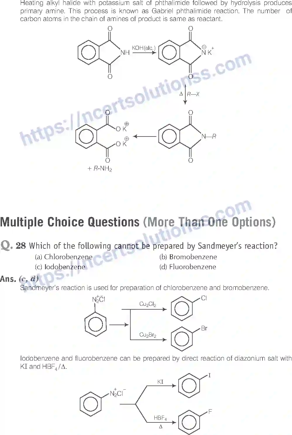 NCERT-Exemplar-Solution-Class-12-Chemistry-Amines-42-page-11