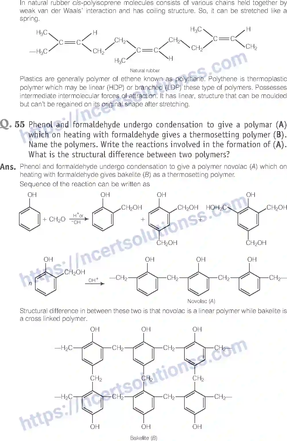 NCERT-Exemplar-Solution-Class-12-Chemistry-Polymer-44-page-19