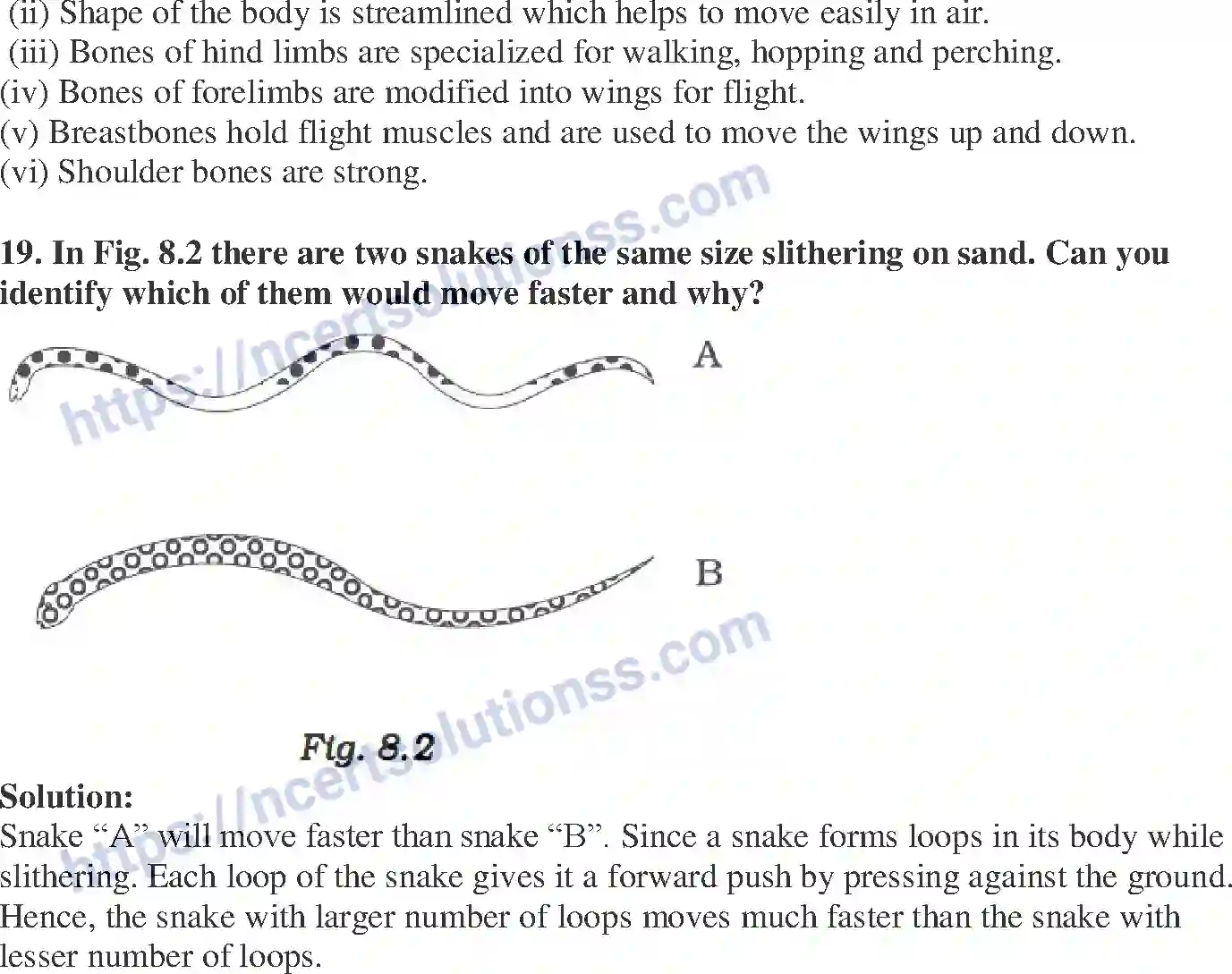 NCERT-Exemplar-Solution-Class-6-Science-Body-Movements-262-page-7