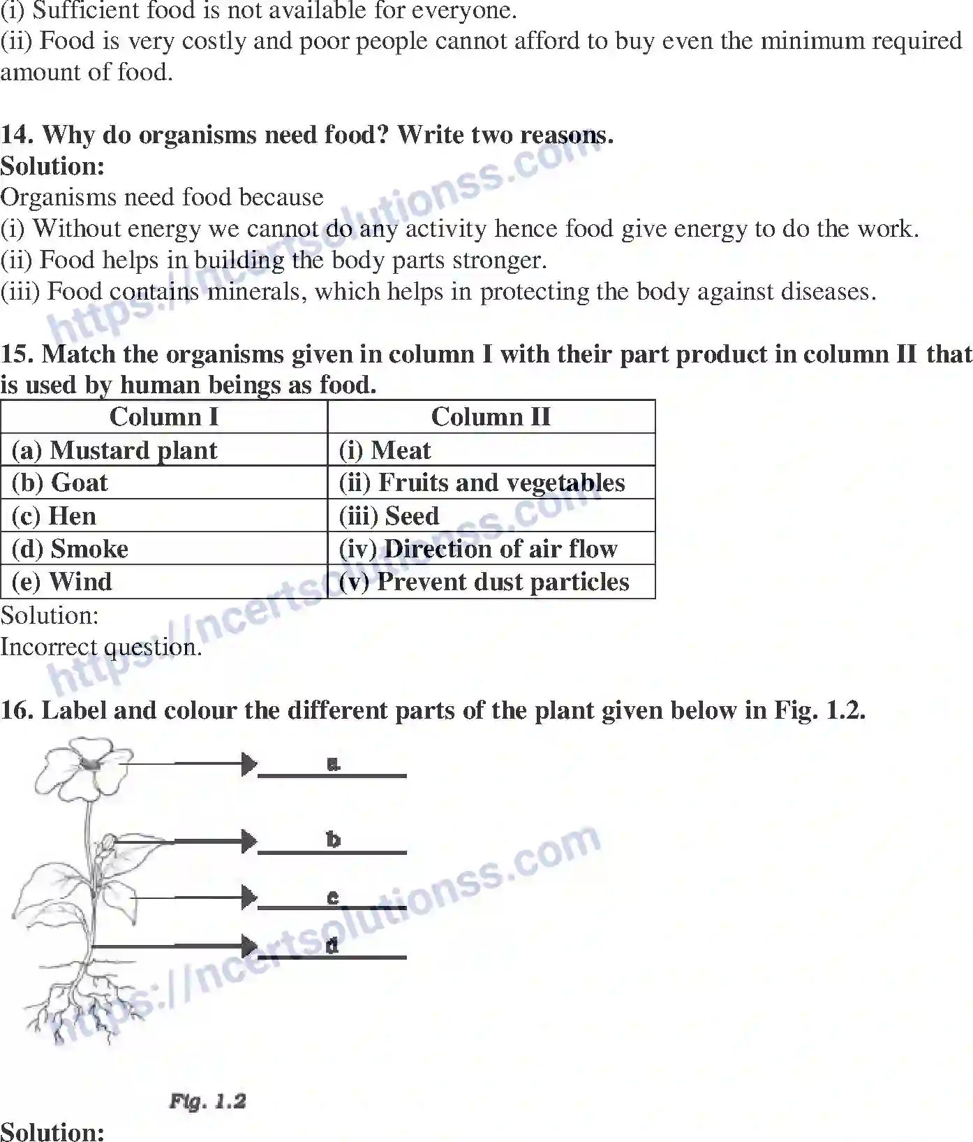 NCERT-Exemplar-Solution-Class-6-Science-Food-Where-does-it-come-from-255-page-5