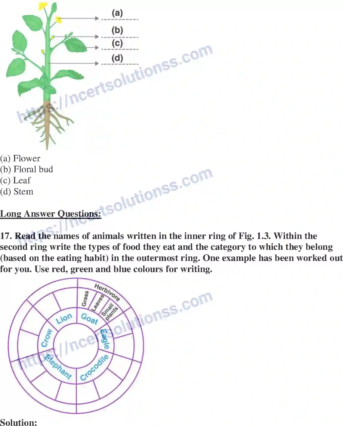 NCERT-Exemplar-Solution-Class-6-Science-Food-Where-does-it-come-from-255-page-6