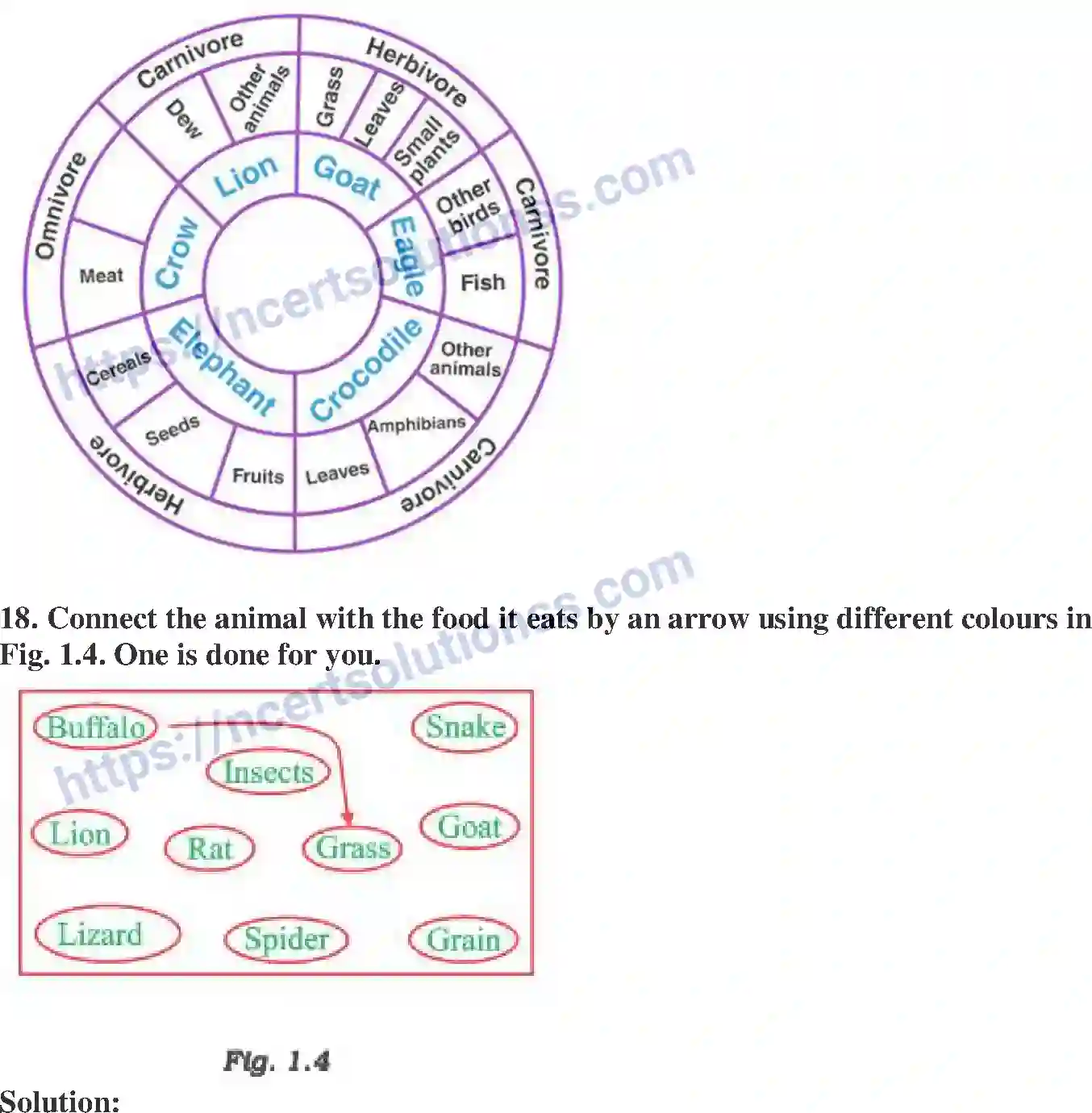 NCERT-Exemplar-Solution-Class-6-Science-Food-Where-does-it-come-from-255-page-7