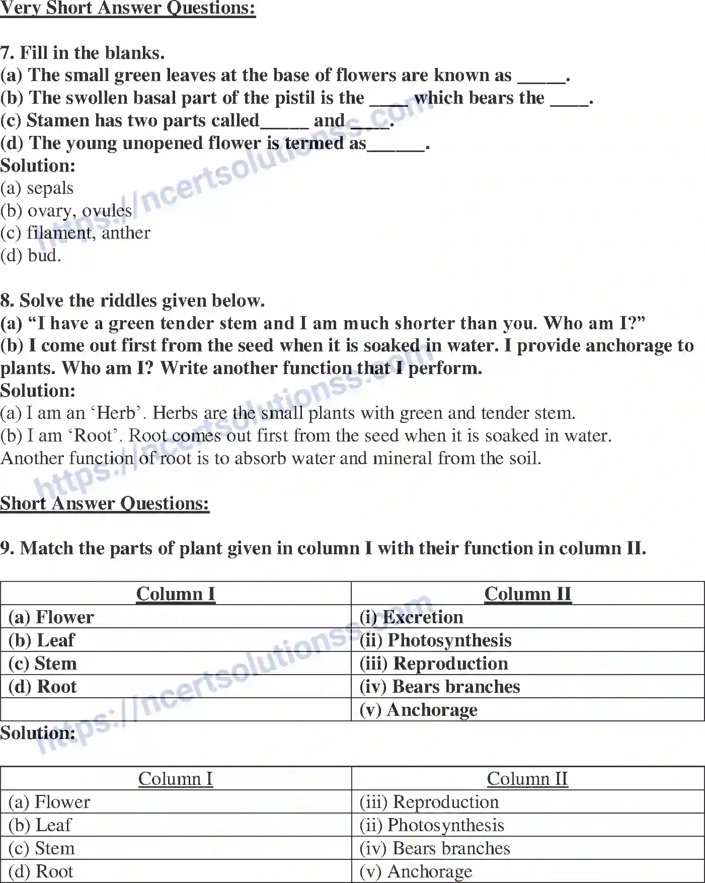 NCERT-Exemplar-Solution-Class-6-Science-Getting-to-Know-Plants-261-page-3
