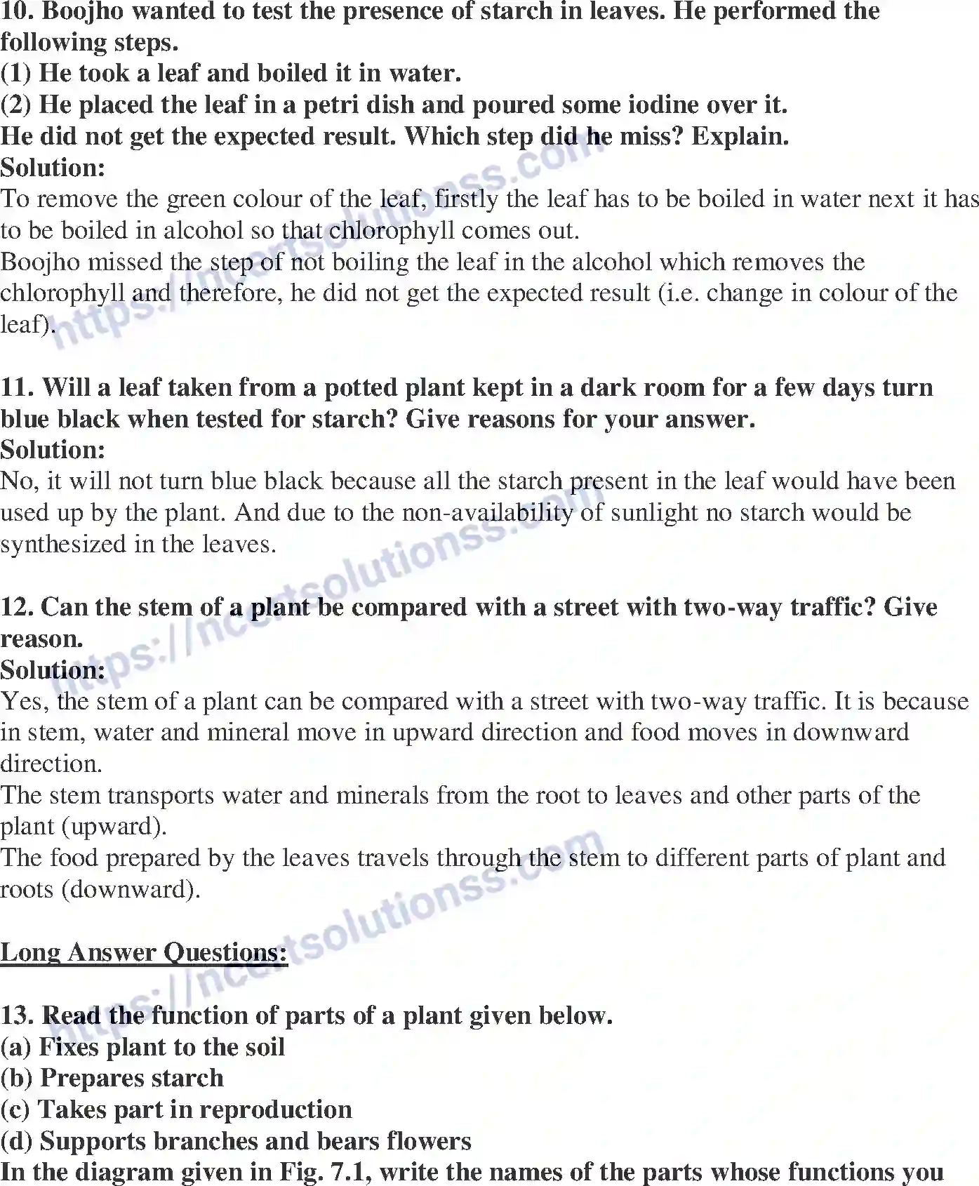 NCERT-Exemplar-Solution-Class-6-Science-Getting-to-Know-Plants-261-page-4