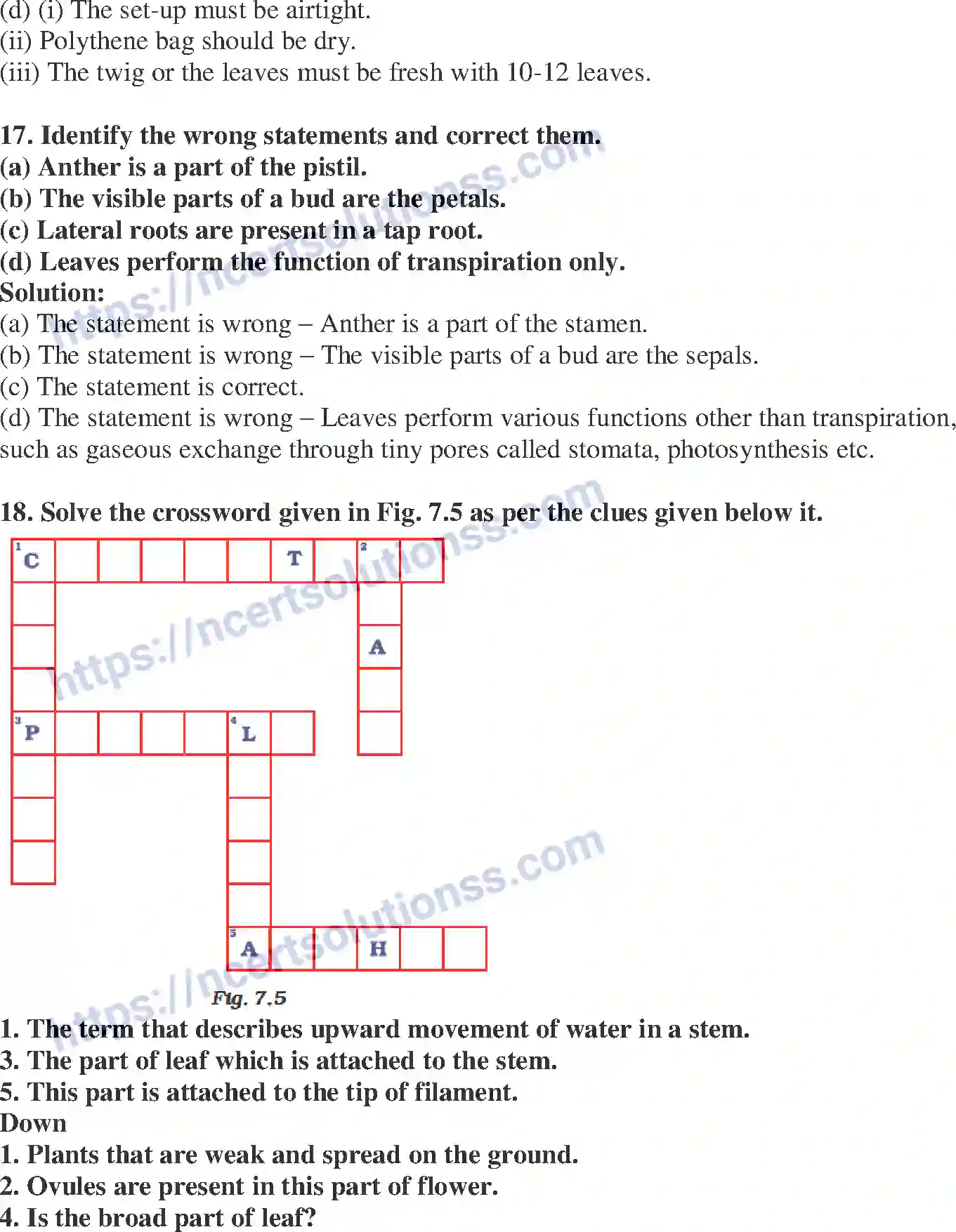 NCERT-Exemplar-Solution-Class-6-Science-Getting-to-Know-Plants-261-page-8