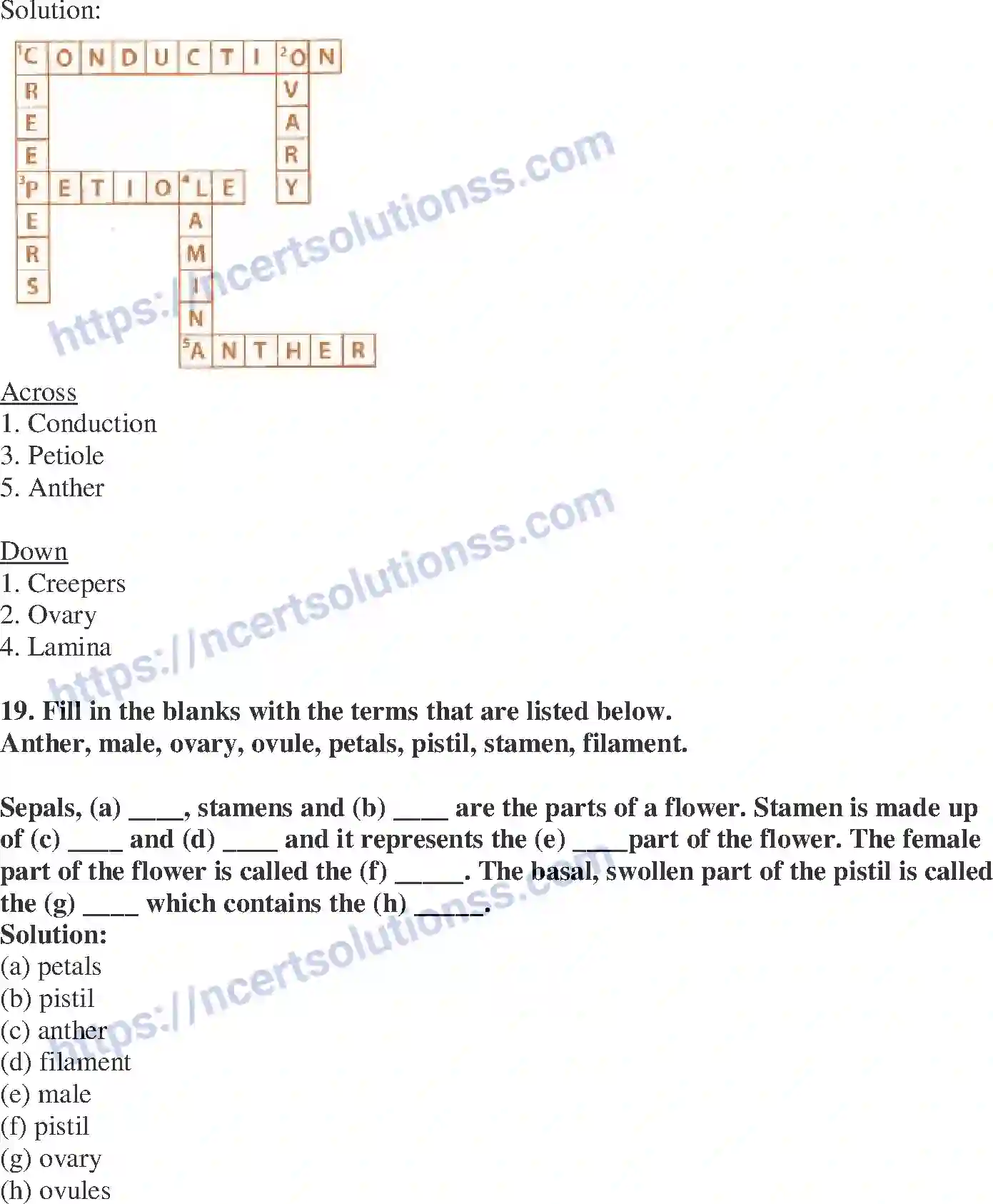 NCERT-Exemplar-Solution-Class-6-Science-Getting-to-Know-Plants-261-page-9