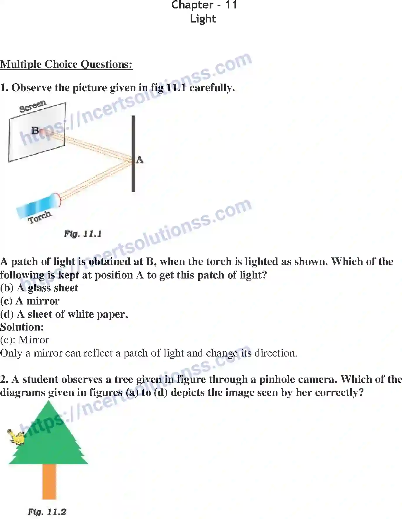 NCERT-Exemplar-Solution-Class-6-Science-Light-265-page-1