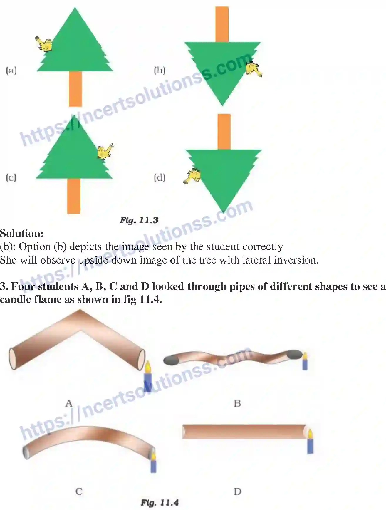 NCERT-Exemplar-Solution-Class-6-Science-Light-265-page-2