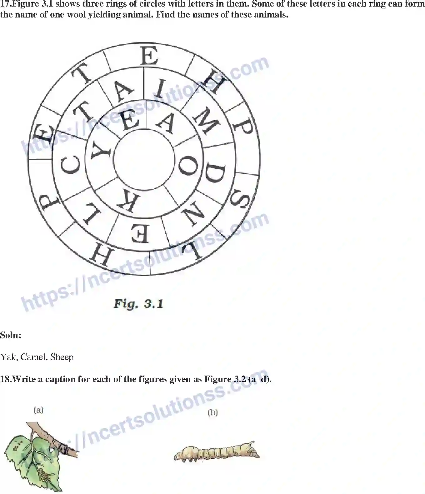 NCERT-Exemplar-Solution-Class-7-Science-Fibre-to-fabric-230-page-6
