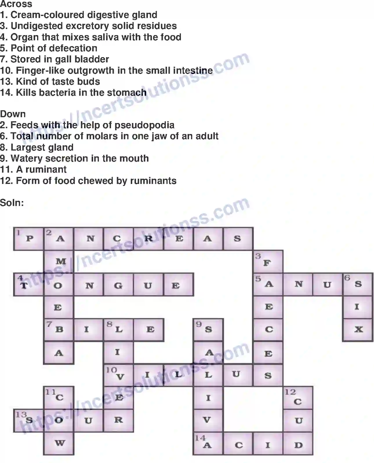NCERT-Exemplar-Solution-Class-7-Science-Nutrition-in-Animals-229-page-14