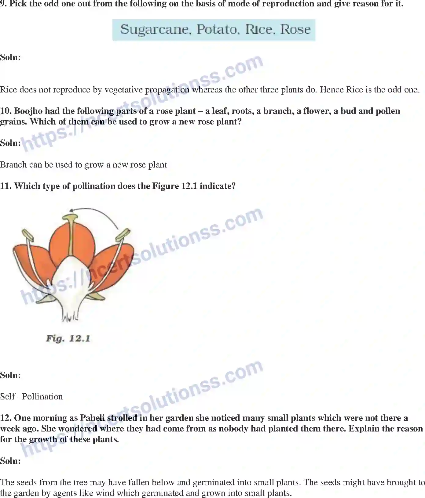 NCERT-Exemplar-Solution-Class-7-Science-Reproduction-in-Plants-239-page-4