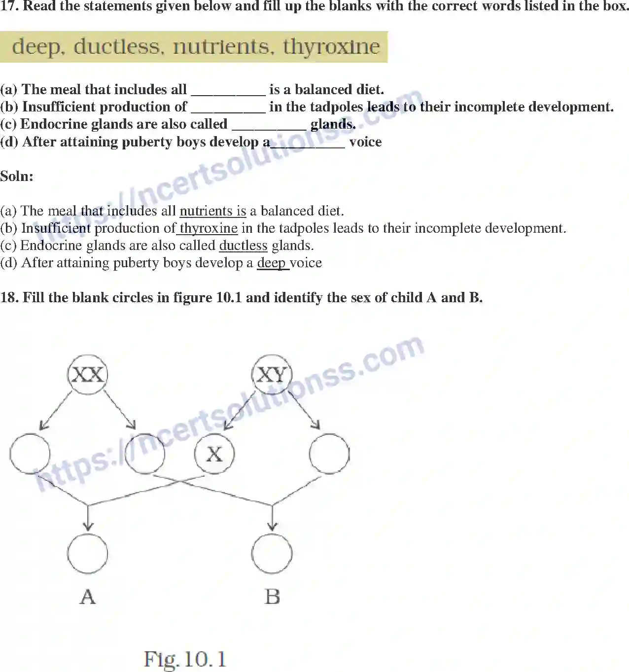 NCERT-Exemplar-Solution-Class-8-Science-Reaching-the-Age-of-Adolescence-207-page-6