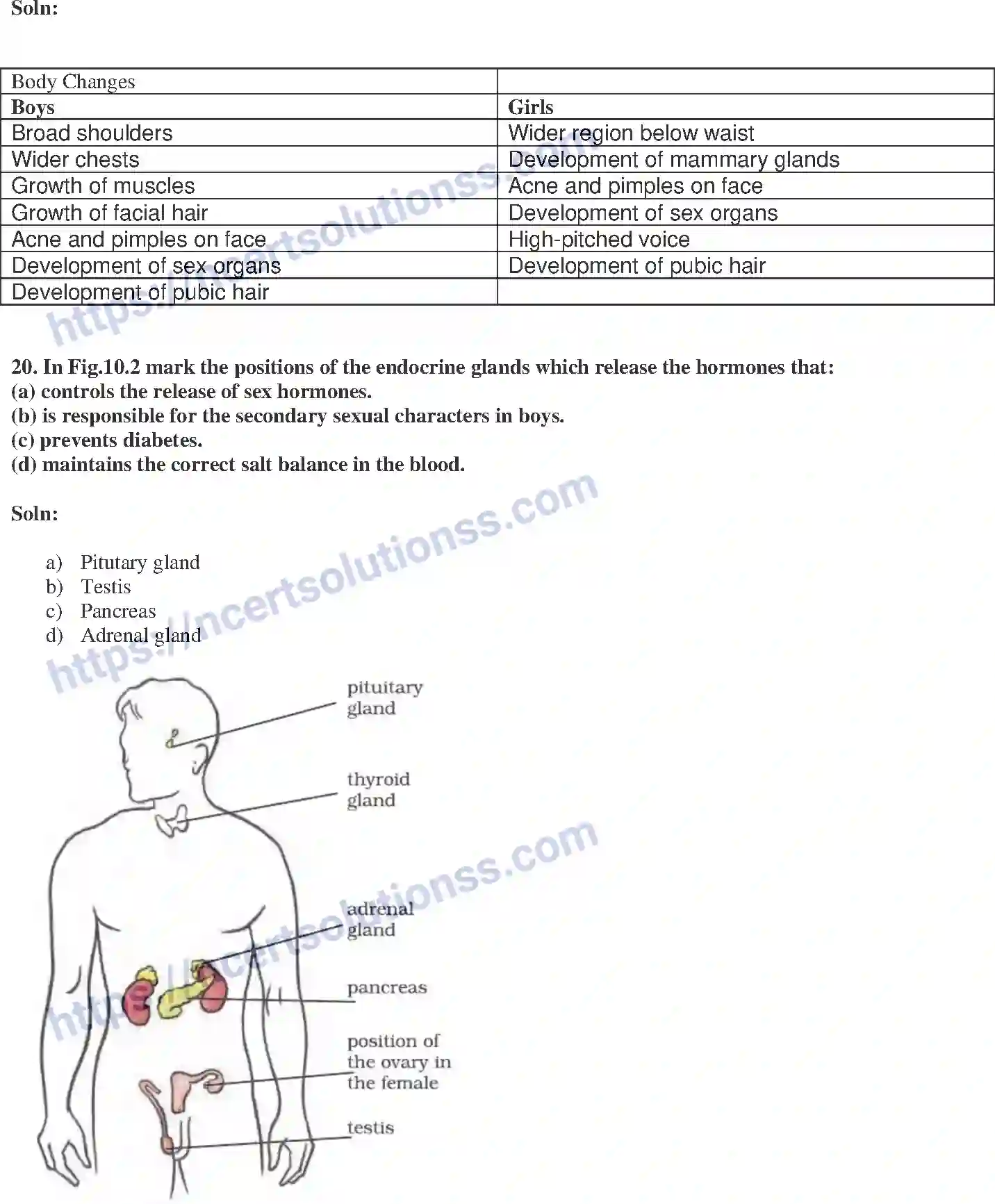NCERT-Exemplar-Solution-Class-8-Science-Reaching-the-Age-of-Adolescence-207-page-8