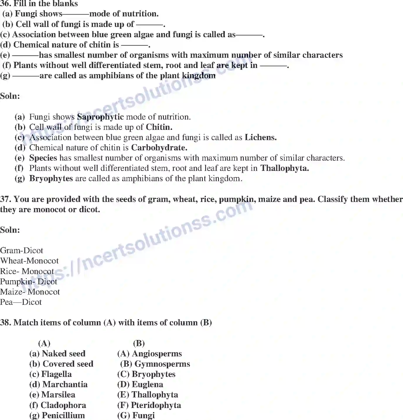 NCERT-Exemplar-Solution-Class-9-Science-Diversity-in-Living-Organisms-176-page-13