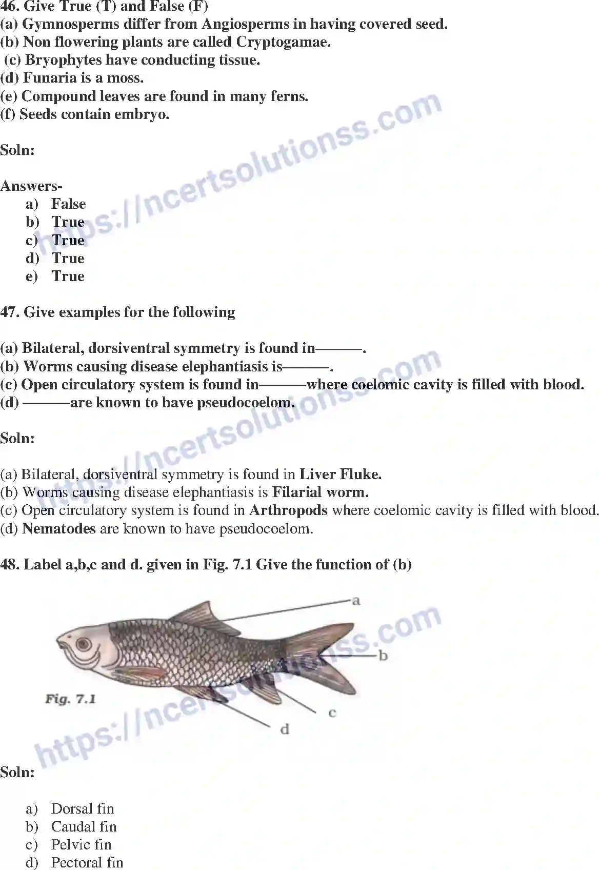 NCERT-Exemplar-Solution-Class-9-Science-Diversity-in-Living-Organisms-176-page-17