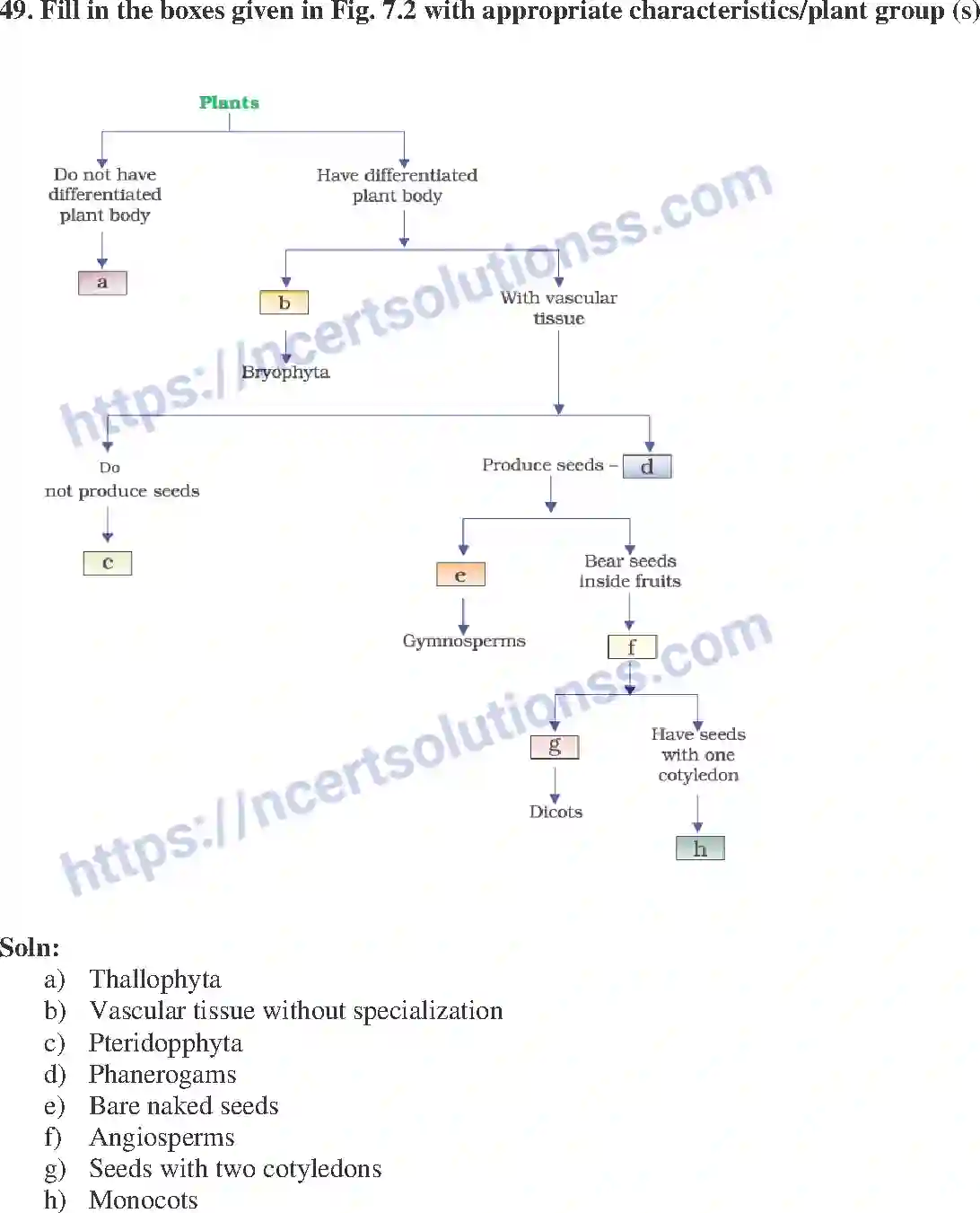 NCERT-Exemplar-Solution-Class-9-Science-Diversity-in-Living-Organisms-176-page-18
