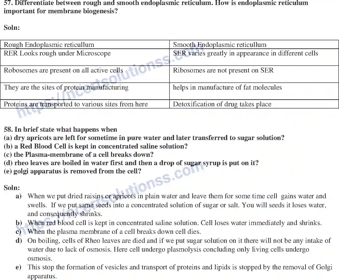 NCERT-Exemplar-Solution-Class-9-Science-The-Fundamental-Unit-of-Life-174-page-17