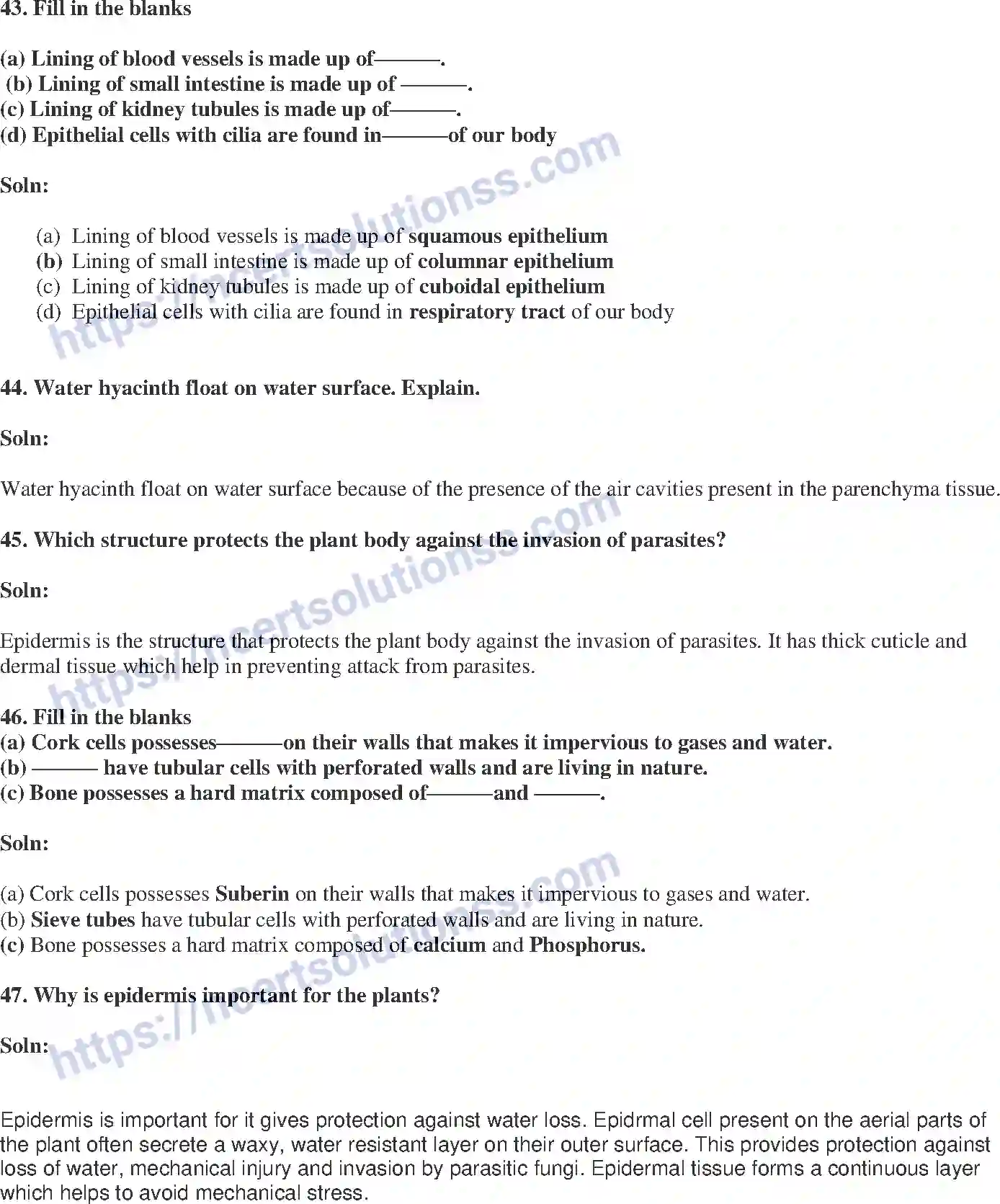 NCERT-Exemplar-Solution-Class-9-Science-Tissues-175-page-15