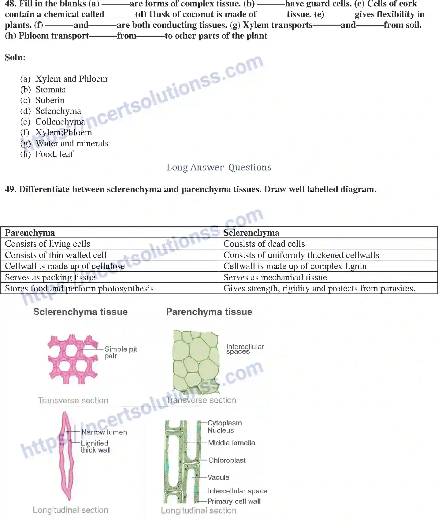 NCERT-Exemplar-Solution-Class-9-Science-Tissues-175-page-16