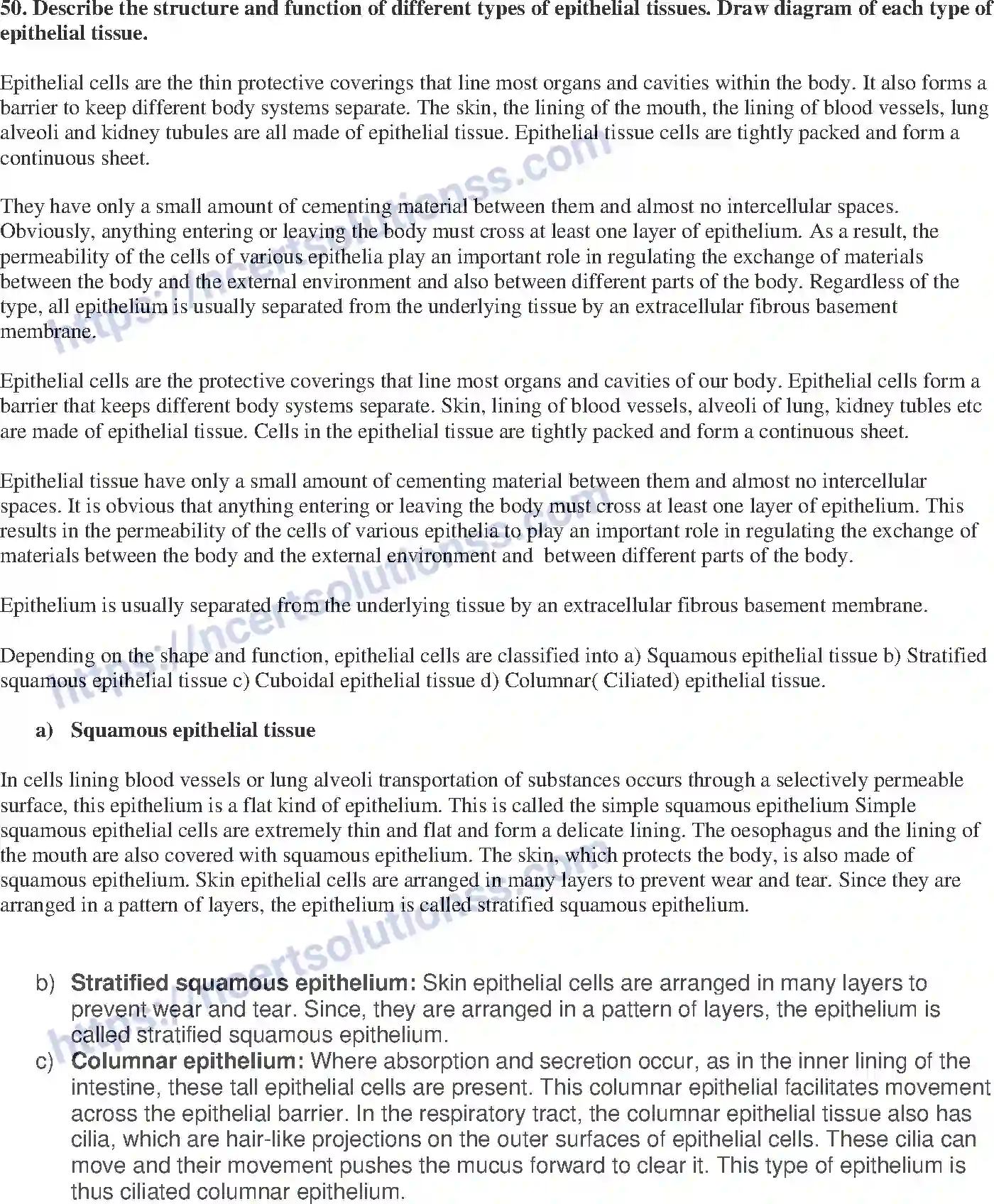 NCERT-Exemplar-Solution-Class-9-Science-Tissues-175-page-17