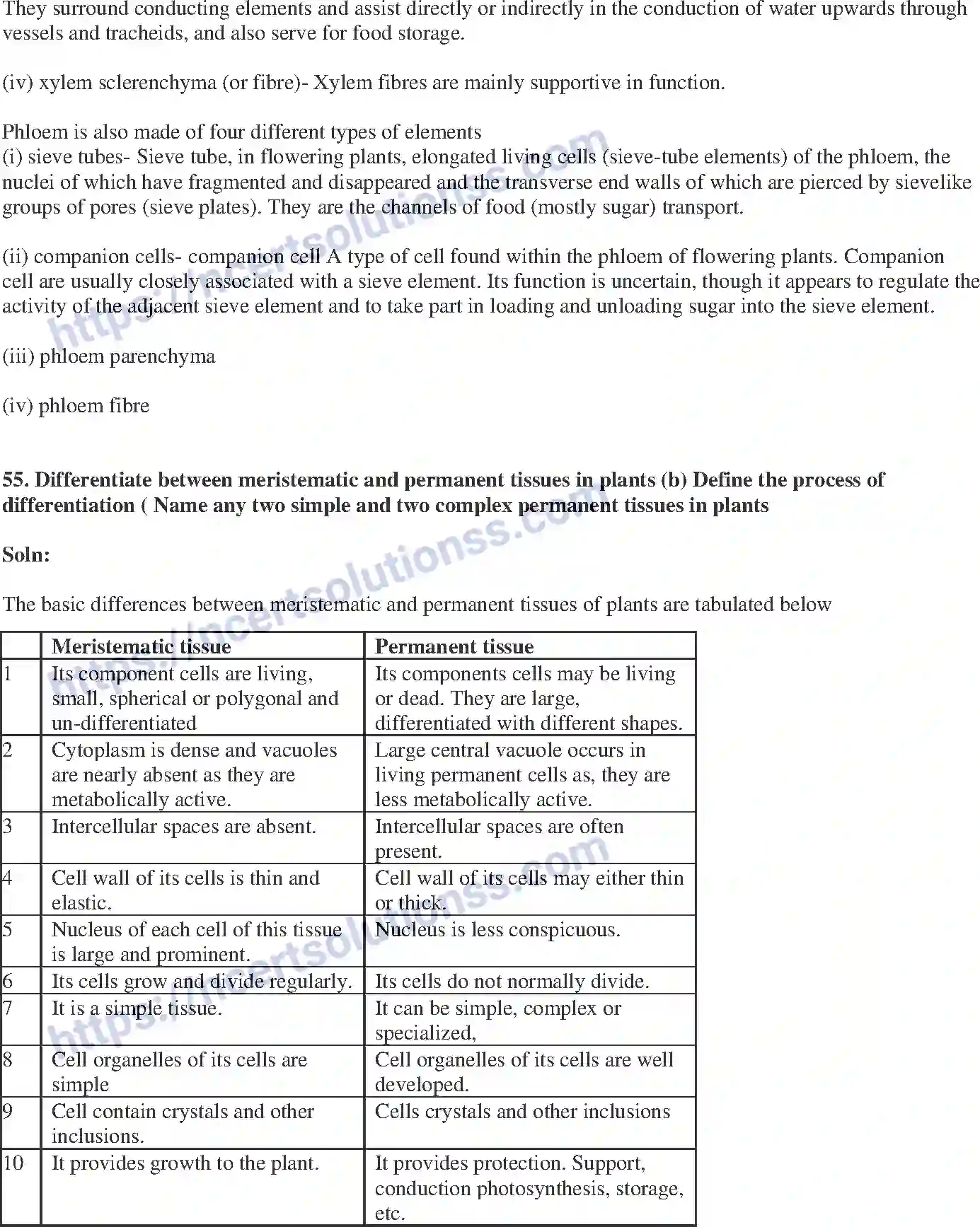 NCERT-Exemplar-Solution-Class-9-Science-Tissues-175-page-21