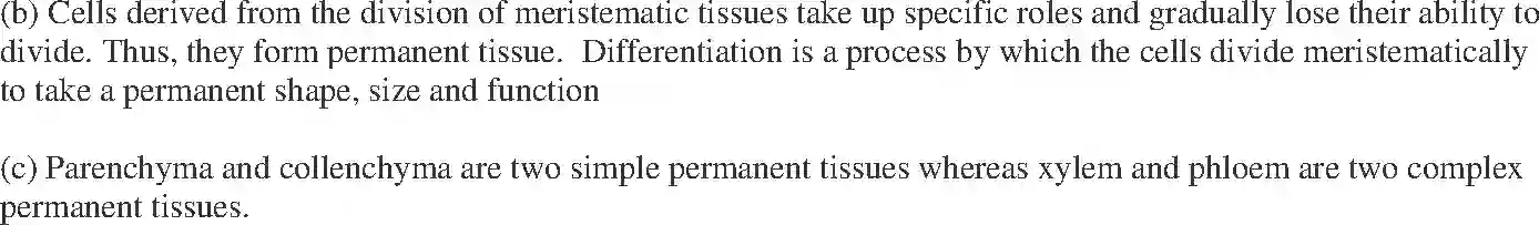 NCERT-Exemplar-Solution-Class-9-Science-Tissues-175-page-22
