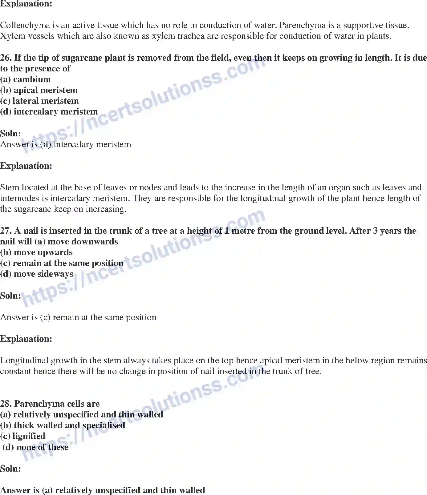 NCERT-Exemplar-Solution-Class-9-Science-Tissues-175-page-9