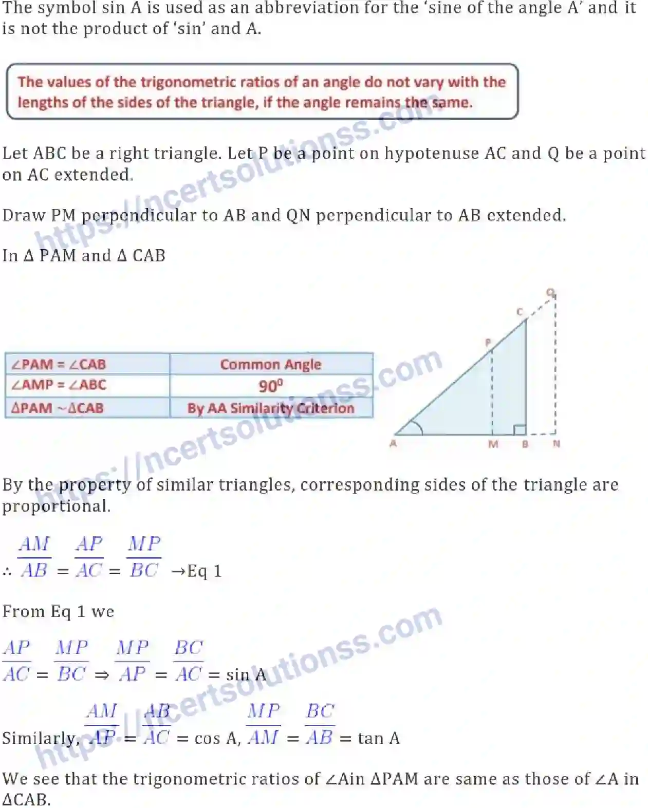 NCERT-Notes-Class-10-Maths-Introduction-to-Trigonometry-484-page-3