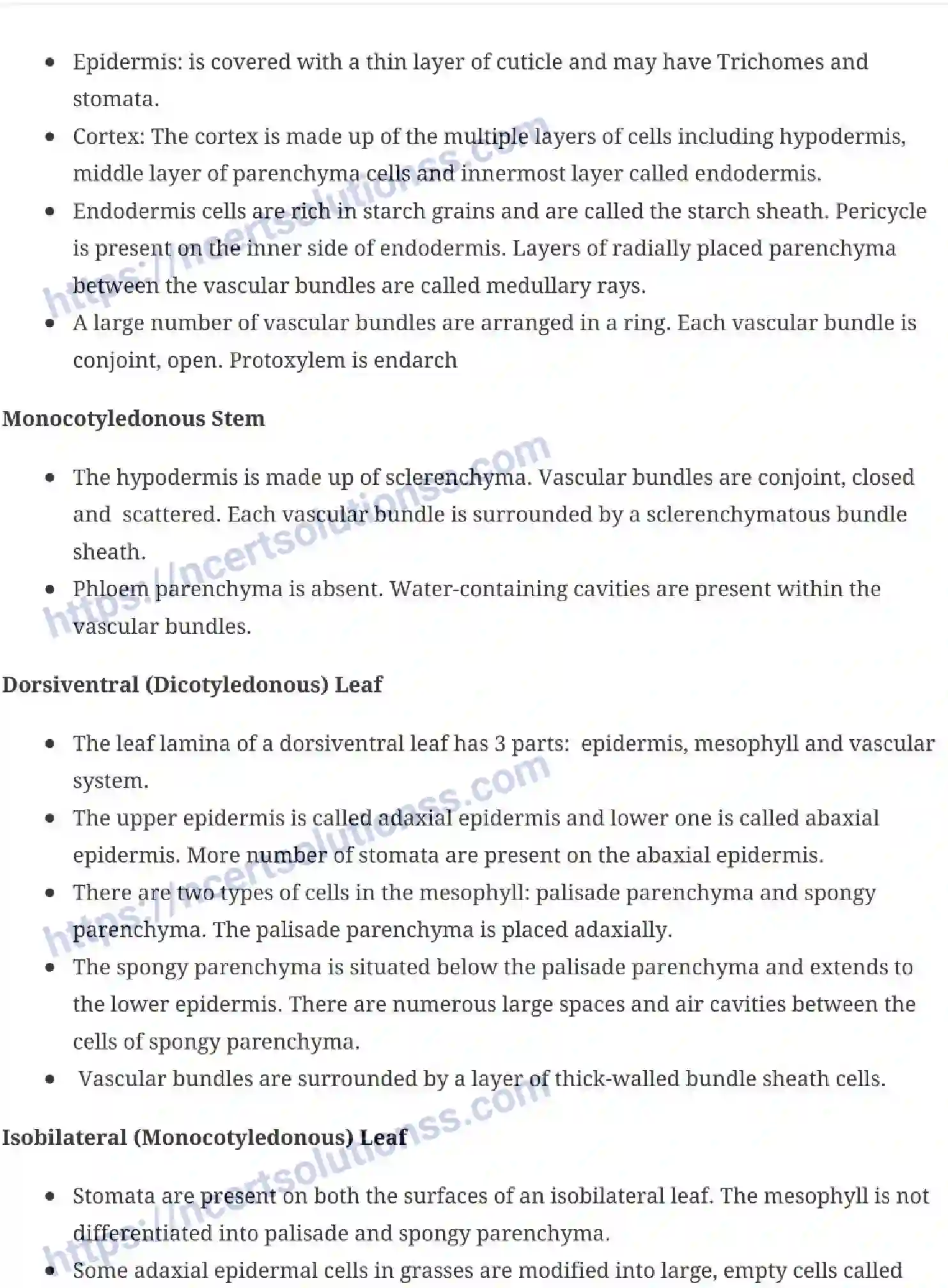 NCERT-Notes-Class-11-Biology-Anatomy-of-Flowering-Plants-230-page-6