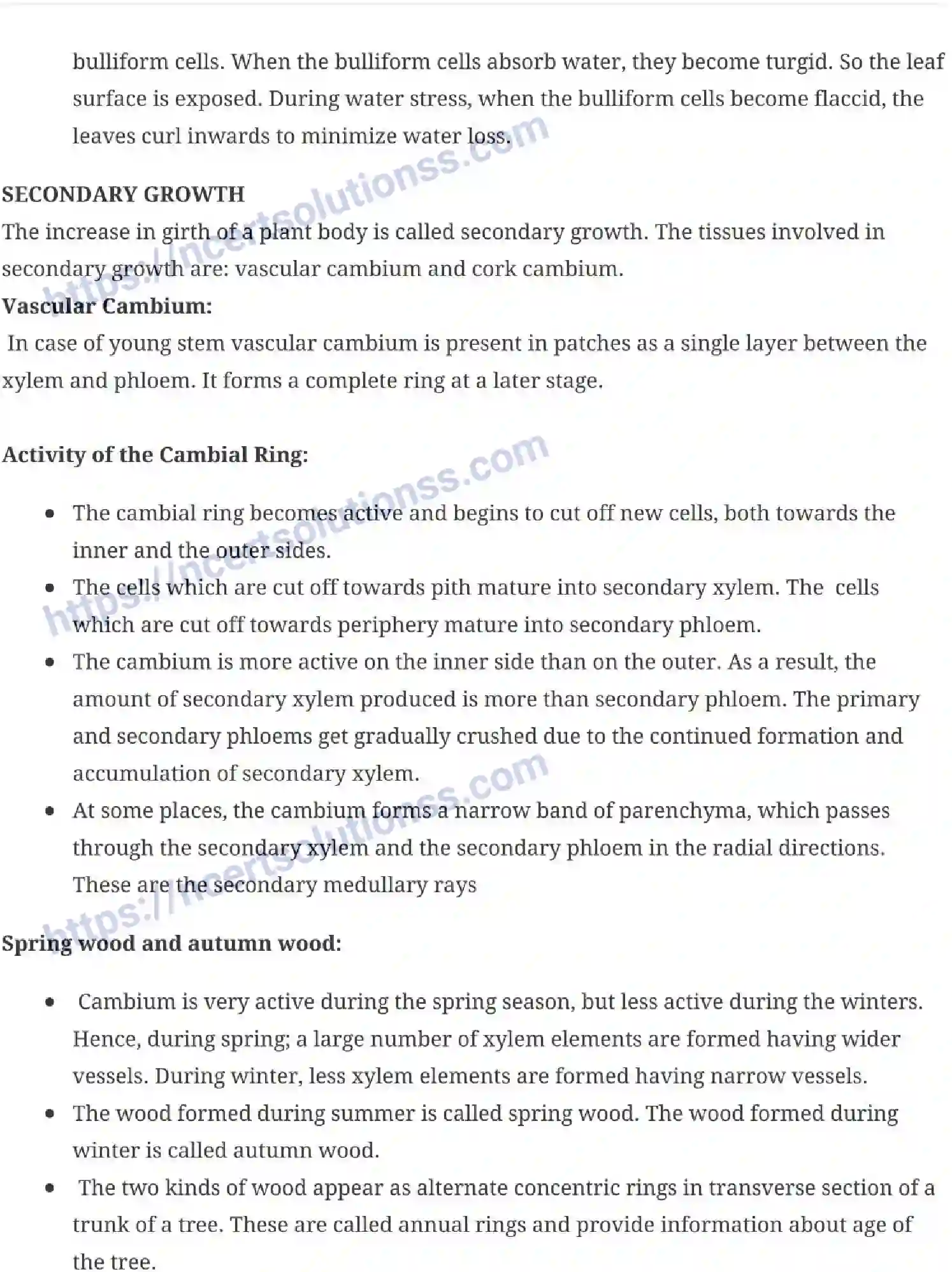 NCERT-Notes-Class-11-Biology-Anatomy-of-Flowering-Plants-230-page-7