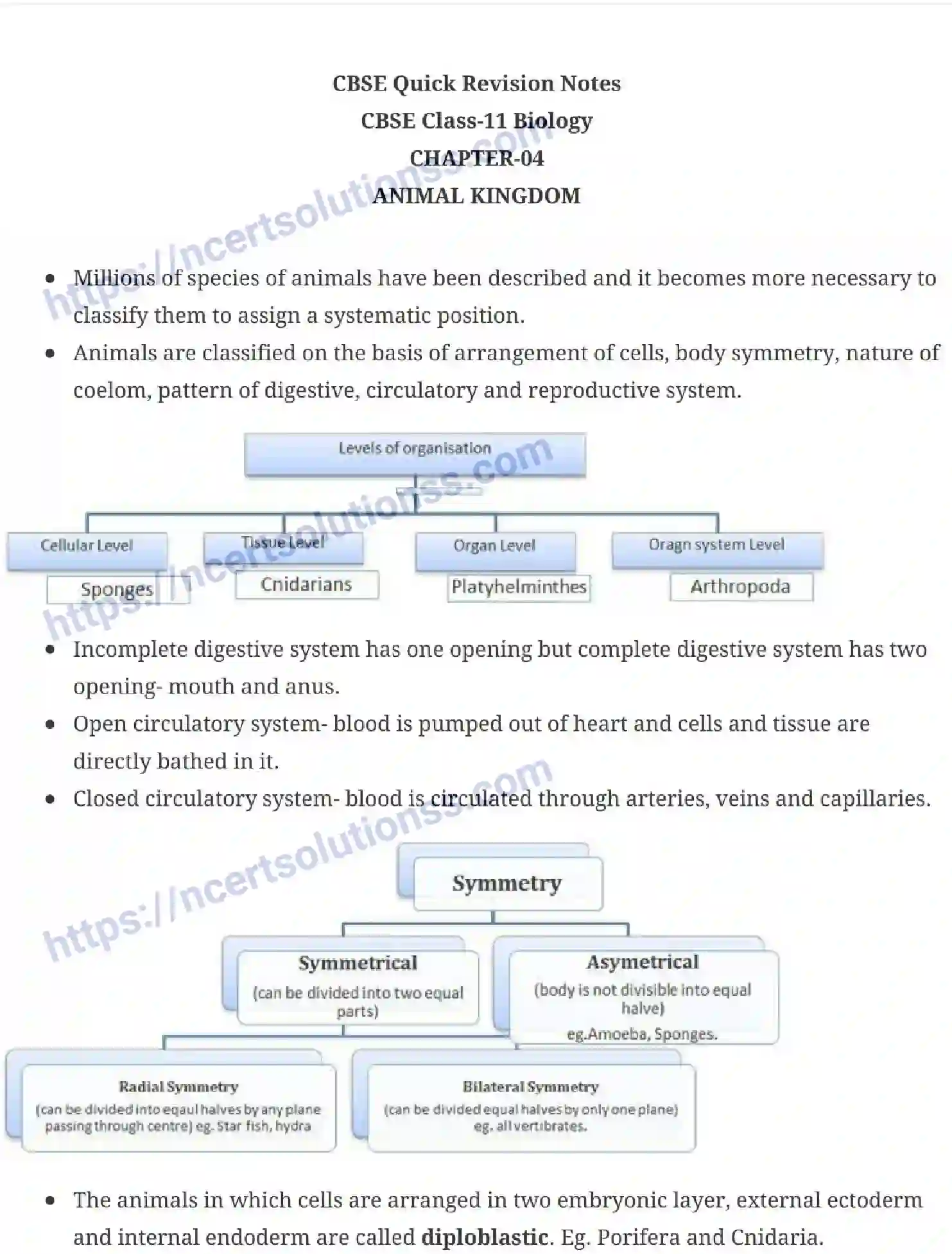 NCERT-Notes-Class-11-Biology-Animal-Kingdom-228-page-1
