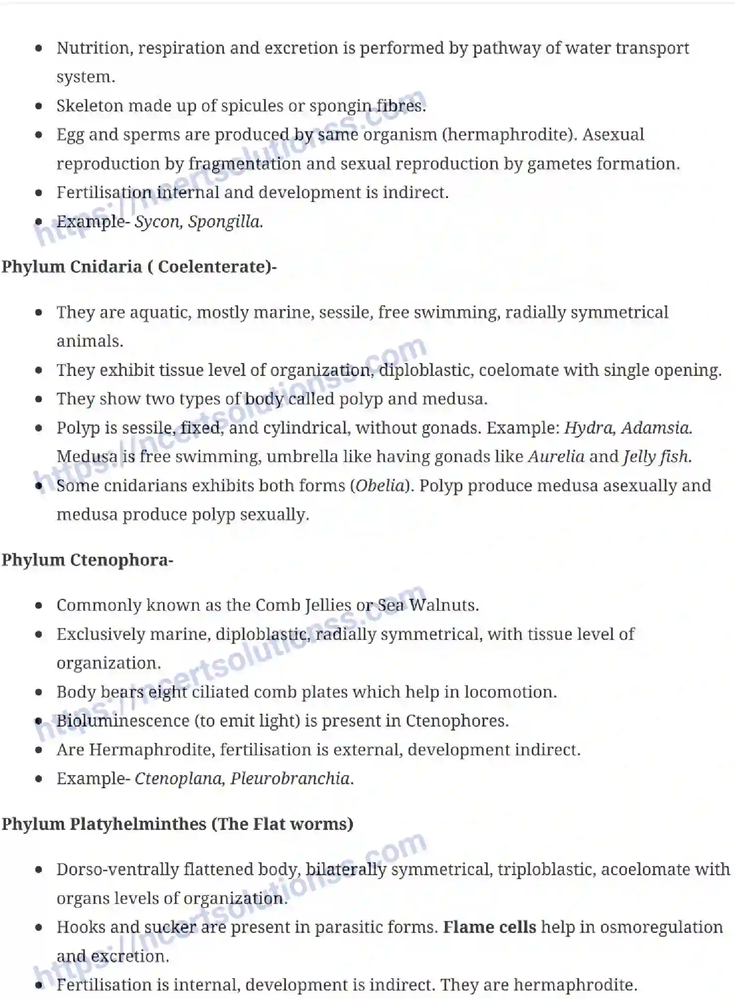 NCERT-Notes-Class-11-Biology-Animal-Kingdom-228-page-3