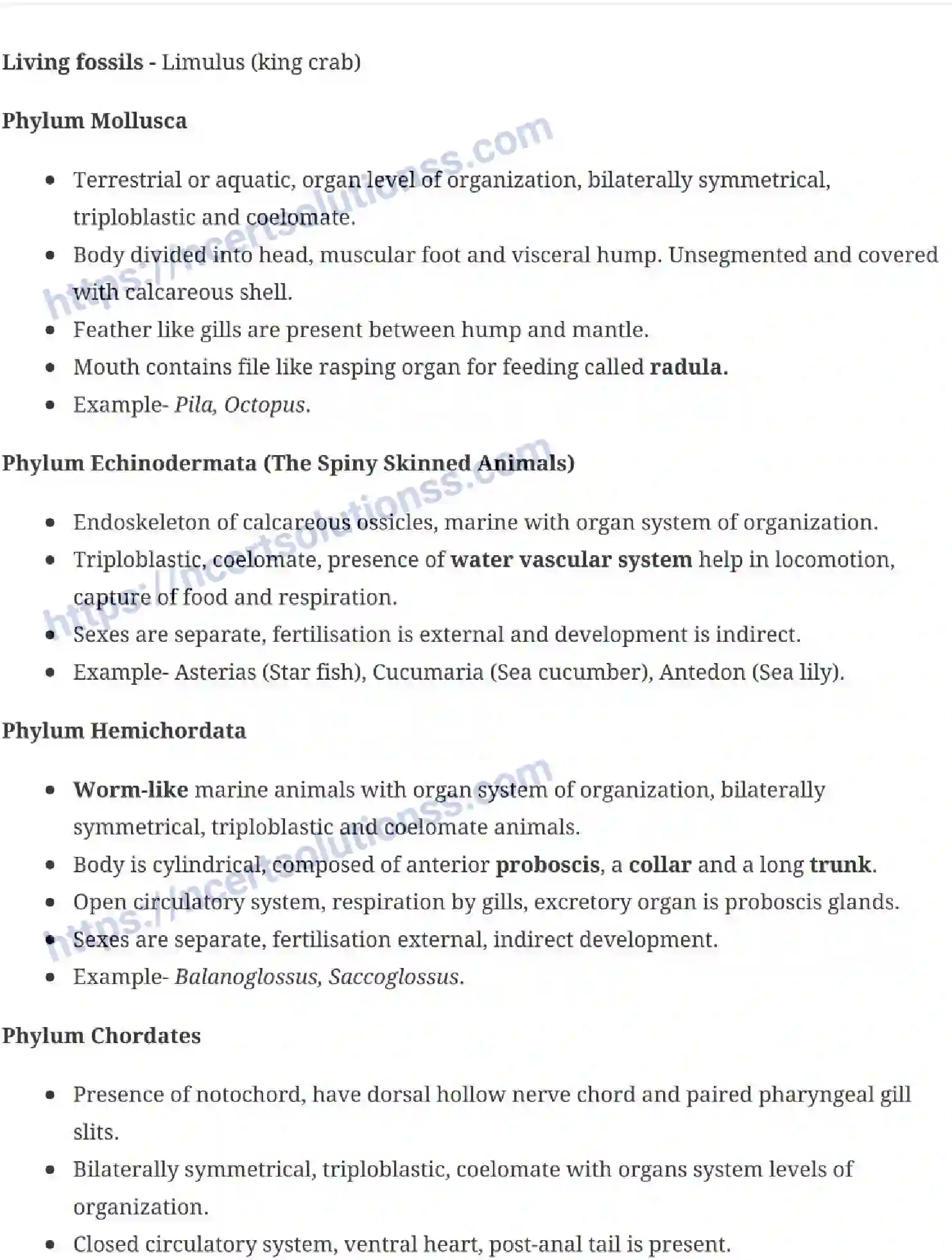 NCERT-Notes-Class-11-Biology-Animal-Kingdom-228-page-5