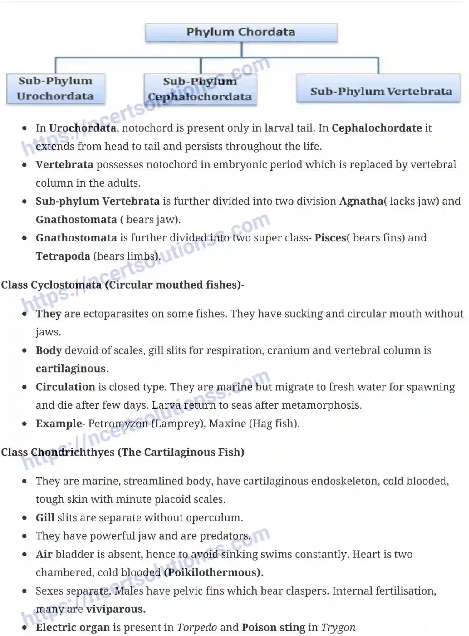 NCERT-Notes-Class-11-Biology-Animal-Kingdom-228-page-6